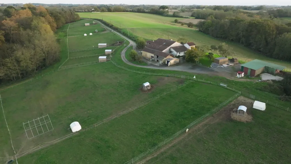 Curly CVV breeding farm in Nouvelle-Aquitaine, France